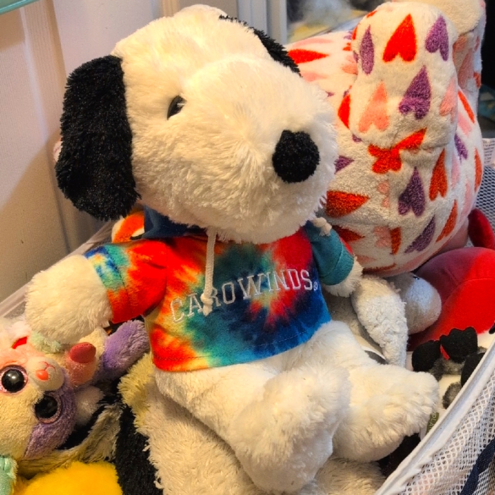 Snoopy Plush with Tie-Dye Hoodie